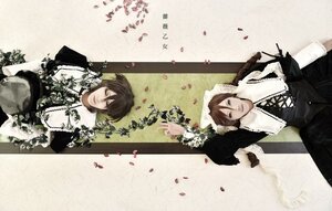 Rating: Safe Score: 0 Tags: 2boys brown_hair closed_eyes dress flower lying multiple_boys multiple_cosplay petals tagme upside-down User: admin