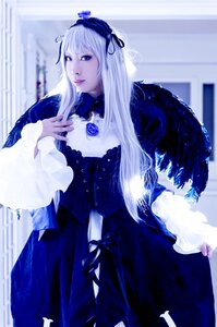 Rating: Safe Score: 0 Tags: 1girl dress feathers flower frills long_hair long_sleeves silver_hair solo suigintou white_hair User: admin