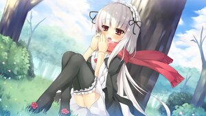 Rating: Safe Score: 0 Tags: 1girl against_tree asa_(swallowtail) black_legwear blush commentary_request doll_joints dress flower frills gothic_lolita grass hairband image joints lolita_fashion long_hair maid_headdress open_mouth outdoors photoshop_(medium) red_eyes rose rozen_maiden scarf silver_hair sitting solo suigintou thighhighs tree underwear User: admin