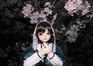 Rating: Safe Score: 0 Tags: 1girl blurry brown_hair cherry_blossoms depth_of_field doll dress flower frills green_dress green_eyes heterochromia lips long_hair long_sleeves looking_at_viewer pink_flower red_eyes solo suiseiseki upper_body User: admin