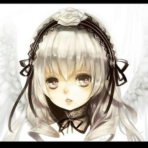Rating: Safe Score: 0 Tags: 1girl bangs black_ribbon face flower hairband image letterboxed lolita_hairband long_hair looking_at_viewer portrait ribbon rose silver_hair solo suigintou white_flower User: admin