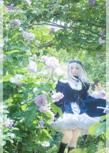 Rating: Safe Score: 0 Tags: 1girl bangs blue_eyes day dress flower long_hair outdoors solo standing suigintou white_hair User: admin