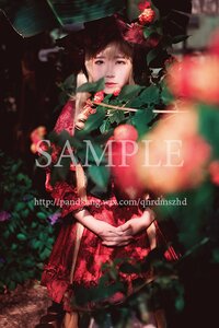 Rating: Safe Score: 0 Tags: 1girl blurry blurry_foreground brown_hair depth_of_field dress flower red_flower rose shinku solo User: admin