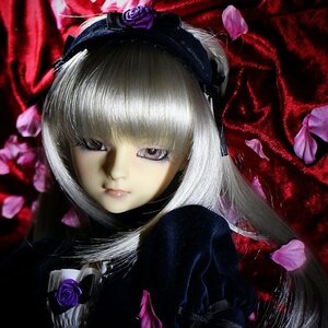 Rating: Safe Score: 0 Tags: 1girl bangs blue_rose closed_mouth doll flower hair_ornament lips looking_at_viewer pink_rose purple_flower purple_rose rose solo suigintou User: admin