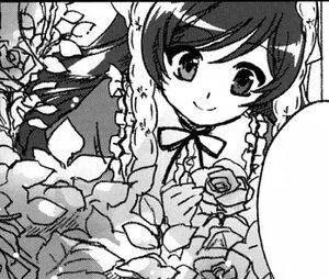 Rating: Safe Score: 0 Tags: 1girl braid circle_cut flower frills greyscale hat hong_meiling image letterboxed looking_at_viewer monochrome rose smile solo suiseiseki twin_braids User: admin