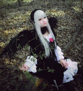 Rating: Safe Score: 0 Tags: 1girl 3d bangs dress flower gothic_lolita hairband lips lolita_fashion long_hair long_sleeves looking_at_viewer plant red_eyes sitting solo suigintou white_hair User: admin