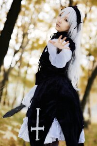 Rating: Safe Score: 0 Tags: 1girl black_dress blurry blurry_background blurry_foreground depth_of_field dress feathers frills hairband long_hair long_sleeves looking_at_viewer silver_hair solo standing suigintou very_long_hair User: admin