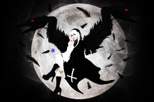 Rating: Safe Score: 0 Tags: 1girl bird black_feathers black_wings boots crow feathered_wings feathers full_moon moon solo suigintou wings User: admin