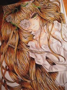 Rating: Safe Score: 0 Tags: 1girl bangs blonde_hair doll_joints dress flower hair_flower image kirakishou long_hair solo traditional_media very_long_hair yellow_eyes User: admin