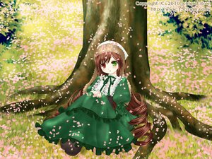 Rating: Safe Score: 0 Tags: 1girl brown_hair cherry_blossoms dress flower frills grass green_dress green_eyes heterochromia image long_hair long_sleeves outdoors petals red_eyes solo suiseiseki very_long_hair User: admin