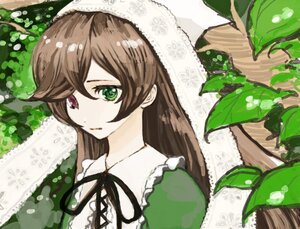 Rating: Safe Score: 0 Tags: 1girl bangs brown_hair dress flower frills green_dress green_eyes heterochromia image leaf long_hair long_sleeves plant red_eyes ribbon solo suiseiseki watering_can User: admin