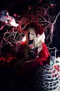 Rating: Safe Score: 0 Tags: 1girl blonde_hair blood dress flower long_hair shinku solo User: admin