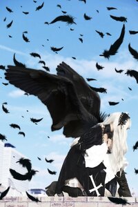 Rating: Safe Score: 0 Tags: 1girl animal bird black_feathers black_wings crow dove eagle feathers flock flying long_hair seagull sky solo suigintou white_feathers wings User: admin
