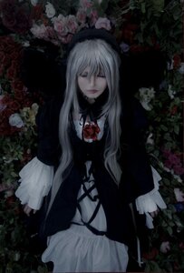 Rating: Safe Score: 0 Tags: 1girl closed_eyes dress flower gothic_lolita lolita_fashion long_hair long_sleeves plant rose solo suigintou User: admin