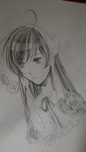 Rating: Safe Score: 0 Tags: 1girl ahoge closed_mouth flower image long_hair looking_at_viewer monochrome neck_ribbon ribbon rose smile solo suiseiseki traditional_media upper_body white_rose User: admin