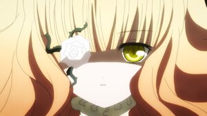 Rating: Safe Score: 0 Tags: 1girl bangs blonde_hair blunt_bangs close-up face flower horns image kirakishou long_hair looking_at_viewer portrait rose simple_background solo white_flower white_rose yellow_eyes User: admin