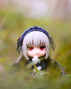 Rating: Safe Score: 0 Tags: 1girl bangs black_ribbon blurry depth_of_field doll dress flower frills hairband long_hair long_sleeves looking_at_viewer red_eyes rose silver_hair smile solo suigintou User: admin