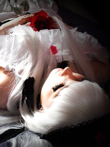 Rating: Safe Score: 0 Tags: 1girl auto_tagged flower lace lips red_flower red_rose rose solo suigintou thorns upper_body white_hair User: admin