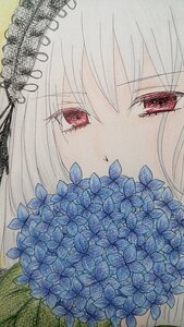 Rating: Safe Score: 0 Tags: 1girl bangs blue_flower bouquet closed_mouth eyebrows_visible_through_hair flower hair_between_eyes holding_bouquet hydrangea image looking_at_viewer parted_lips red_eyes solo suigintou traditional_media white_background white_hair User: admin