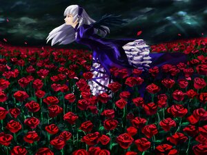 Rating: Safe Score: 0 Tags: 1girl black_rose cross dress flower hairband image long_hair long_sleeves petals pink_eyes plant purple_flower purple_rose red_eyes red_flower red_rose rose rose_petals silver_hair solo spider_lily suigintou thorns vines wings User: admin
