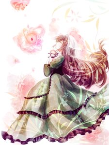 Rating: Safe Score: 0 Tags: 1girl brown_hair closed_eyes dress flower frills image long_hair long_sleeves profile solo suiseiseki veil very_long_hair wide_sleeves User: admin