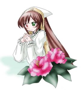 Rating: Safe Score: 0 Tags: 1girl blush brown_hair dress flower frills green_eyes head_scarf heterochromia image interlocked_fingers long_hair long_sleeves looking_at_viewer red_eyes simple_background solo suiseiseki upper_body very_long_hair white_background User: admin