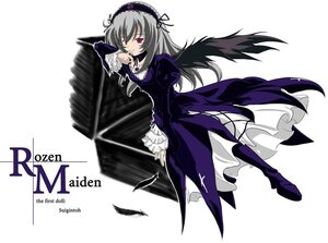 Rating: Safe Score: 0 Tags: 1girl black_wings boots dress feathers frilled_sleeves frills full_body hairband image juliet_sleeves long_hair long_sleeves looking_at_viewer puffy_sleeves rose silver_hair solo suigintou white_background wings User: admin