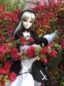 Rating: Safe Score: 0 Tags: 1girl bangs black_dress bug butterfly doll dress flower gothic_lolita hairband insect lips lolita_fashion long_hair looking_at_viewer plant red_flower red_rose rose solo suigintou white_hair User: admin