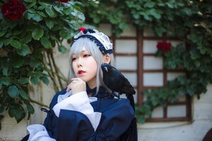 Rating: Safe Score: 0 Tags: 1girl blurry blurry_background depth_of_field flower hairband lips long_sleeves red_eyes red_flower red_rose rose solo suigintou upper_body User: admin