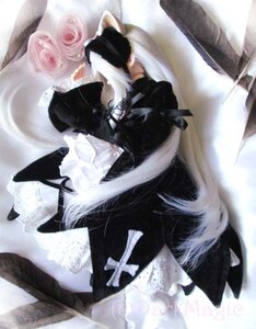 Rating: Safe Score: 0 Tags: 1girl animal_ears doll dress long_hair solo suigintou very_long_hair white_hair User: admin