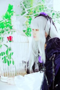 Rating: Safe Score: 0 Tags: 1girl bangs black_dress blurry blurry_foreground closed_eyes depth_of_field dress hairband long_hair long_sleeves plant profile ribbon silver_hair solo suigintou User: admin