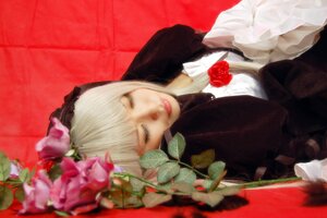 Rating: Safe Score: 0 Tags: 1girl closed_eyes flower lips red_background red_lips rose solo suigintou User: admin