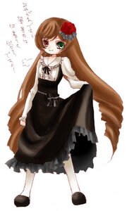 Rating: Safe Score: 0 Tags: 1girl brown_hair dress drill_hair flower frills full_body green_eyes heterochromia image long_hair long_sleeves looking_at_viewer pantyhose red_eyes shoes simple_background solo standing suiseiseki twin_drills very_long_hair white_background User: admin