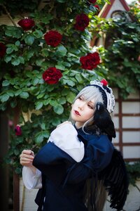 Rating: Safe Score: 0 Tags: 1girl blurry blurry_background depth_of_field flower lips long_sleeves looking_at_viewer red_eyes red_flower red_rose rose solo suigintou wings User: admin