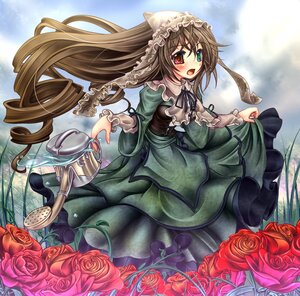 Rating: Safe Score: 0 Tags: 1girl black_rose blush brown_hair commentary_request dress drill_hair flower frills garden grass green_dress green_eyes hat heterochromia image lolita_fashion long_hair long_sleeves monikano open_mouth orange_flower pink_flower pink_rose plant purple_rose rain red_eyes red_flower red_rose rose rose_petals rozen_maiden sky solo souseiseki suiseiseki thorns vines watering_can yellow_rose User: admin