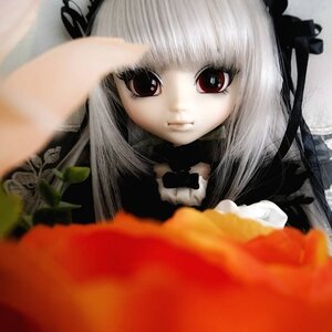 Rating: Safe Score: 0 Tags: 1girl bangs black_dress black_ribbon blurry blurry_foreground closed_mouth depth_of_field doll dress frills long_hair long_sleeves looking_at_viewer photo red_eyes smile solo suigintou white_hair User: admin