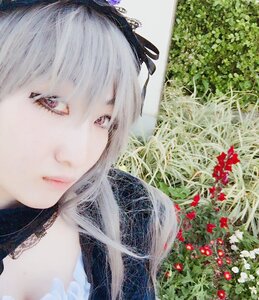 Rating: Safe Score: 0 Tags: 1girl bangs closed_mouth face flower lips long_hair looking_at_viewer solo suigintou white_hair User: admin