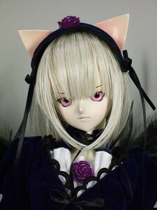 Rating: Safe Score: 0 Tags: 1girl animal_ears cat_ears choker closed_mouth doll flower gothic_lolita hairband lolita_fashion looking_at_viewer pink_eyes rose solo suigintou upper_body white_hair User: admin