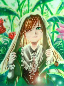 Rating: Safe Score: 0 Tags: 1girl bangs brown_hair closed_mouth dress flower frills green_eyes image long_hair long_sleeves looking_at_viewer rose smile solo suiseiseki upper_body very_long_hair User: admin