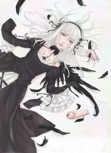 Rating: Safe Score: 0 Tags: 1girl bird black_feathers black_ribbon black_wings crow dress feathers frills hairband image long_hair long_sleeves looking_at_viewer red_eyes ribbon rose silver_hair solo suigintou wings User: admin
