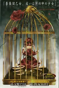 Rating: Safe Score: 0 Tags: 1girl cover flower image pink_rose red_flower red_rose rose rose_petals shinku solo thorns User: admin