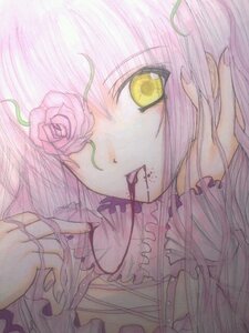 Rating: Safe Score: 0 Tags: 1girl flower frills image kirakishou long_hair pink_flower pink_hair pink_rose rose solo traditional_media yellow_eyes User: admin