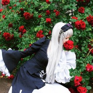 Rating: Safe Score: 0 Tags: 1boy camellia dress flower long_hair plant red_flower red_rose rose solo suigintou thorns white_hair User: admin