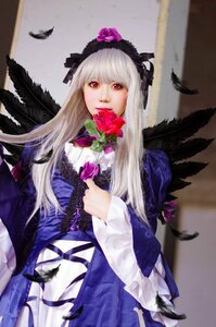 Rating: Safe Score: 0 Tags: 1girl bird bird_on_hand black_feathers black_wings blonde_hair crow dove dress feathered_wings feathers flower frills hairband holding_flower long_hair long_sleeves looking_at_viewer red_eyes rose silver_hair solo suigintou wings User: admin