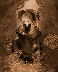 Rating: Safe Score: 0 Tags: 1girl blonde_hair bonnet bow capelet dress flower image lolita_fashion long_hair long_sleeves shinku solo standing very_long_hair User: admin