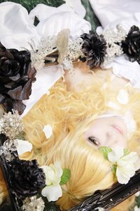 Rating: Safe Score: 0 Tags: 1girl bangs blonde_hair blurry depth_of_field dress flower hair_flower hair_ornament kirakishou lace lips long_hair photo solo white_dress white_flower white_rose User: admin