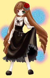 Rating: Safe Score: 0 Tags: 1girl brown_hair dress drill_hair flower frills green_eyes heterochromia image long_hair long_sleeves pantyhose red_eyes rose shoes solo standing suiseiseki twin_drills very_long_hair User: admin