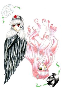 Rating: Safe Score: 0 Tags: 2girls dress flower hair_flower hair_ornament image kirakishou long_hair multiple_girls pair pink_hair plant red_eyes rose striped suigintou vertical_stripes very_long_hair vines white_flower white_hair User: admin