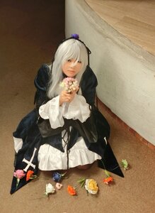 Rating: Safe Score: 0 Tags: 1girl dress flower long_hair long_sleeves photo sitting solo suigintou User: admin