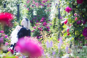 Rating: Safe Score: 0 Tags: 1girl blue_flower blurry blurry_foreground depth_of_field dress flower hair_flower hairband hydrangea long_hair pink_flower profile purple_flower silver_hair sitting solo suigintou wisteria User: admin